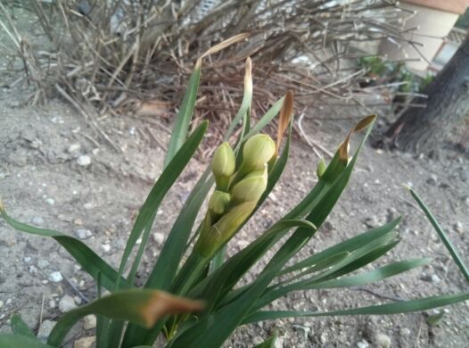 rblog-20140416194509-00.jpg