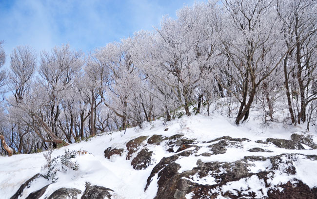 雪３