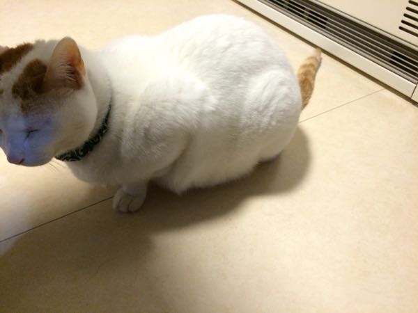 rblog-20151023062713-02.jpg