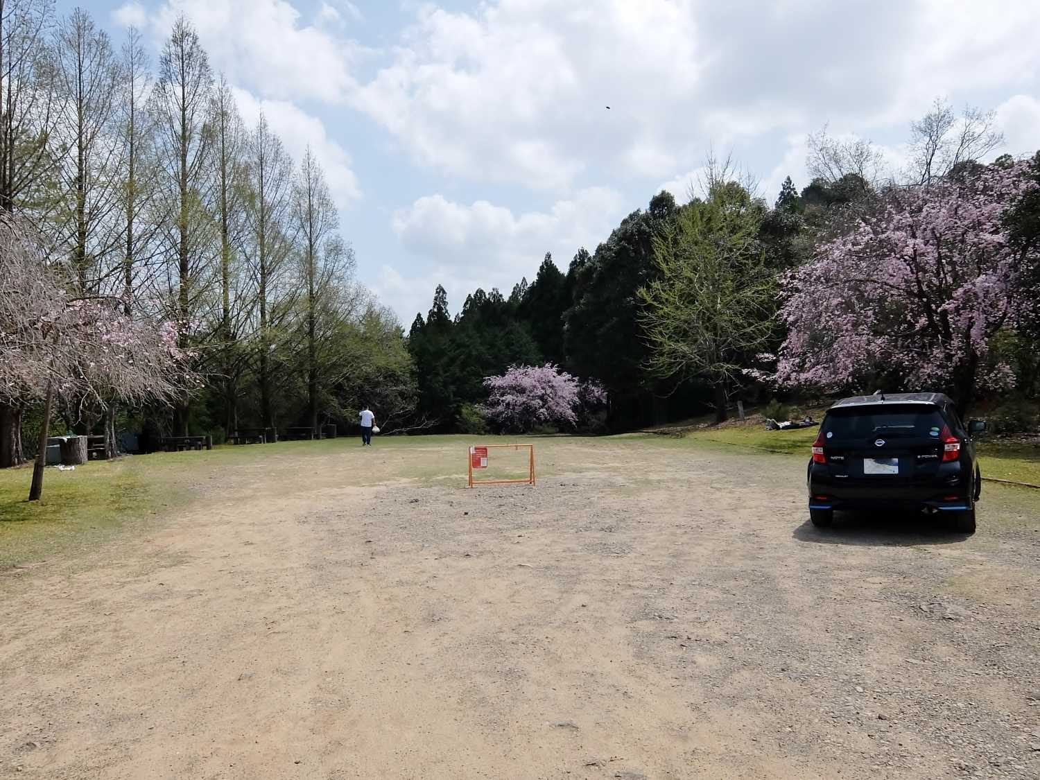 七越峰森林公園 本宮大社 桜 花見 和歌山 