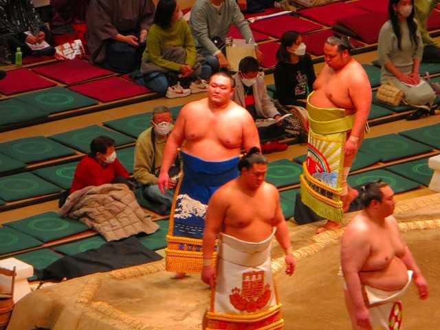 大相撲 人気力士 朝乃山 あさのやま Asanoyama Hiroki 高砂部屋
