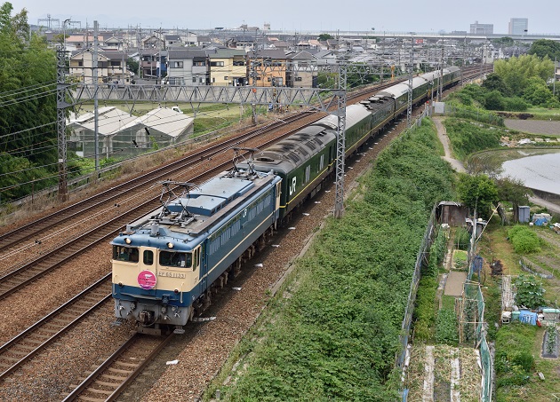 4 EF81-44 9023レ D810 1.jpg