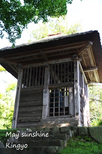 c105.JPG