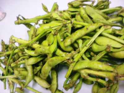 2012_1024_175115-SANY0002.JPG