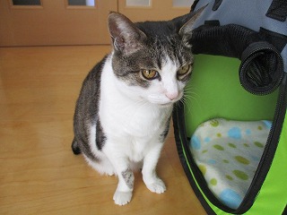 IMG_6070ss.jpg