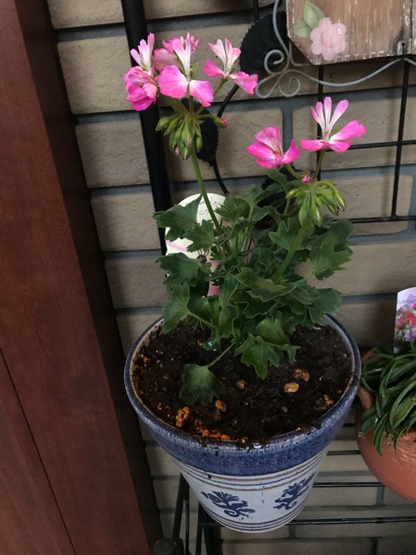 rblog-20180328191719-03.jpg