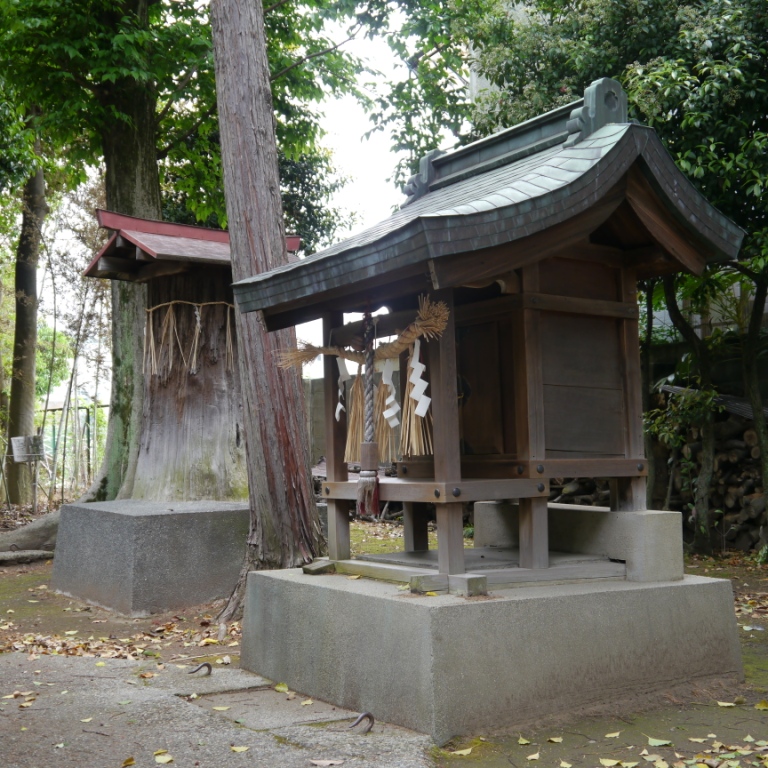 P1070381.JPG