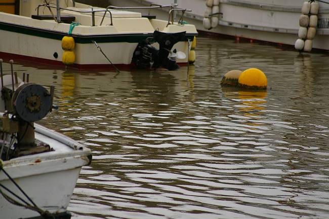 IMGP5123-s.JPG