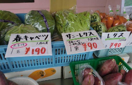 コウノトリのさと鳴門市大麻町萩原の地区で生産されている新鮮野菜を販売しています/徳島北障害者支援センター