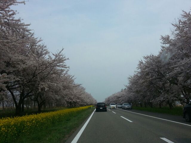 rblog-20140428155313-00.jpg