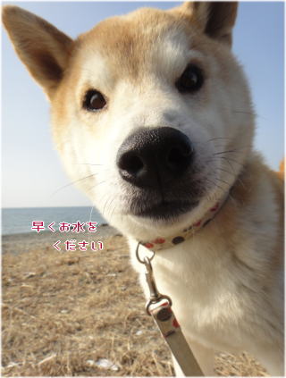 0117昼2.jpg