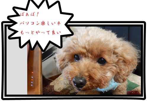こころ２４