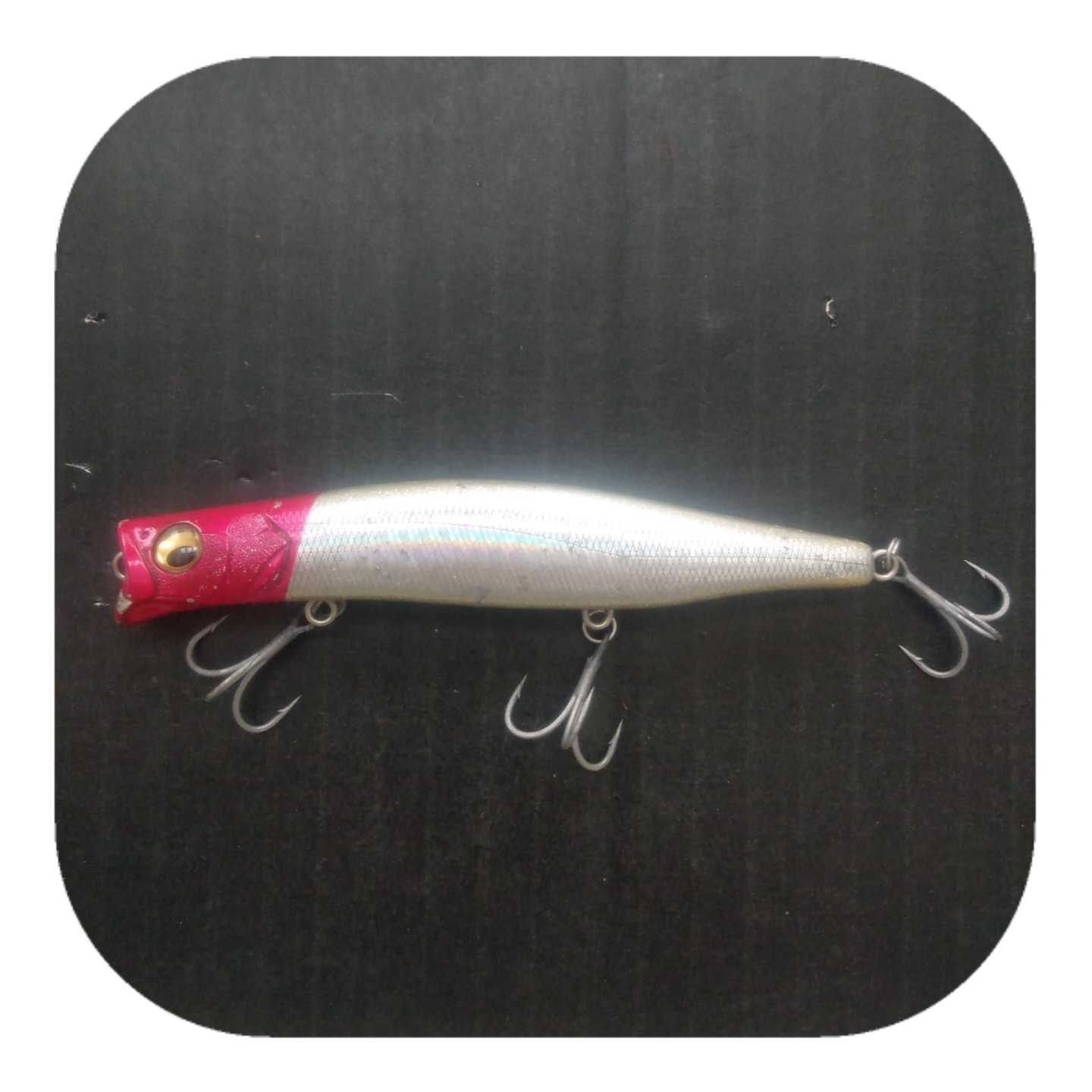 2 Kagelou124f レッドヘッドをピンクベリーに シーバスとヒラメに会いに行く 楽天ブログ