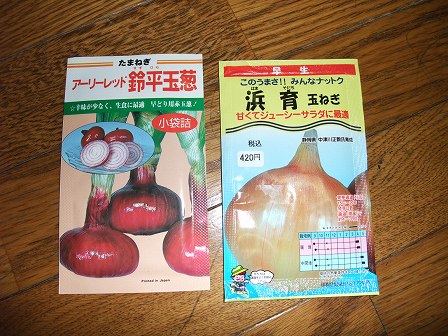 タマネギ　20130904