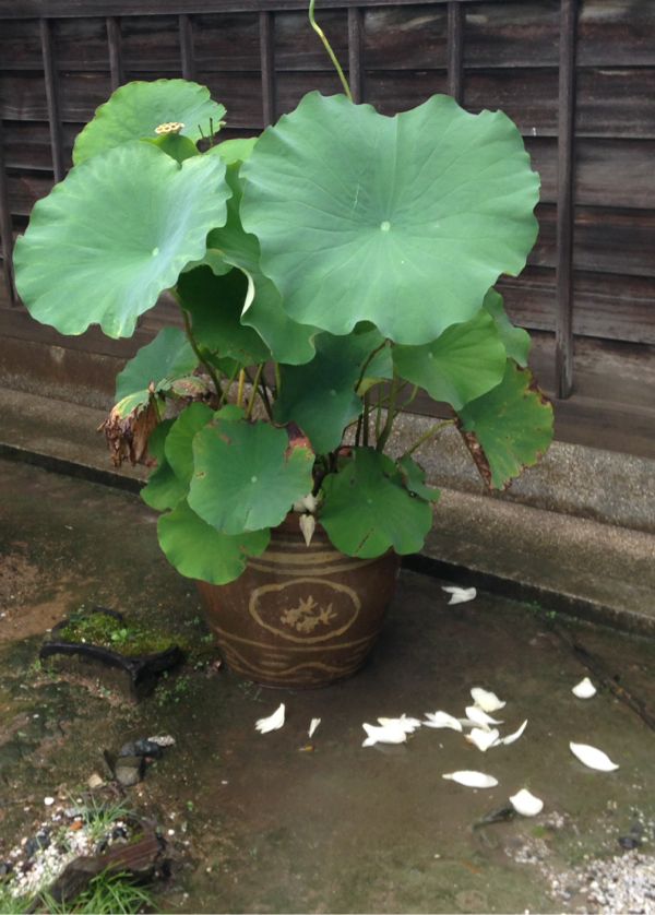 rblog-20140805224320-02.jpg