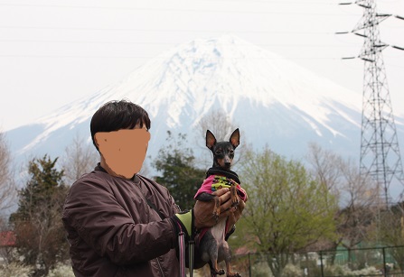 富士山とレイア.jpg