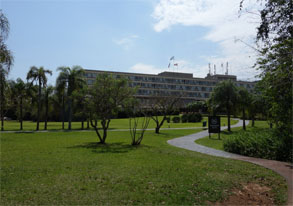 南米713.jpg