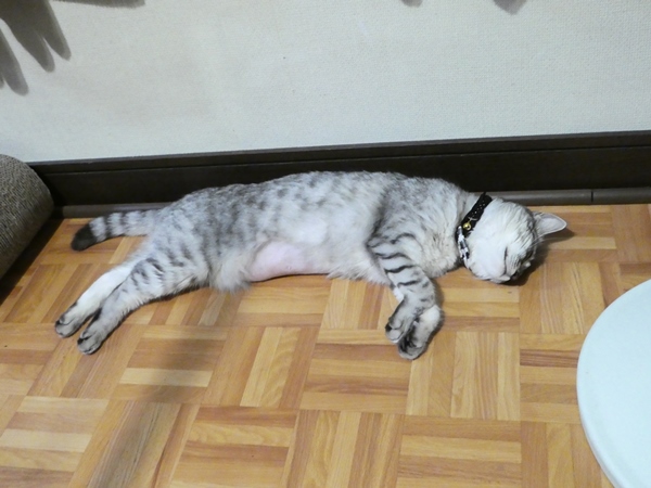 P1010138.JPG
