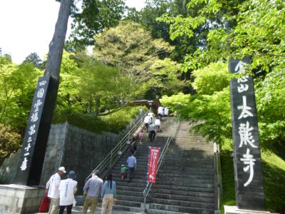 P1030035.jpg