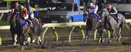 20141002tck11RLadiesPredude_06