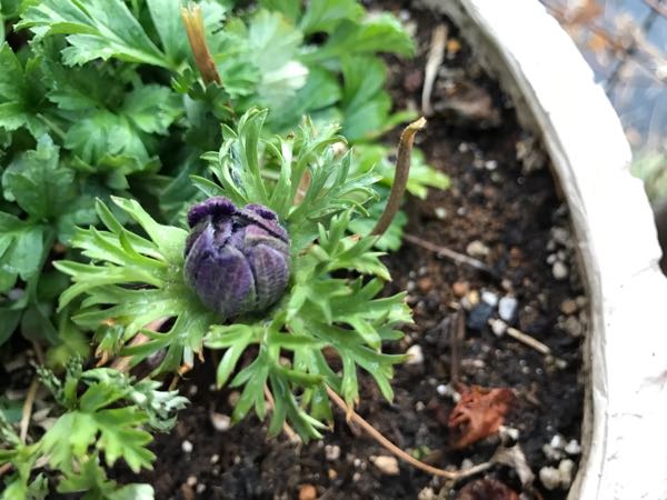 rblog-20170223222747-06.jpg