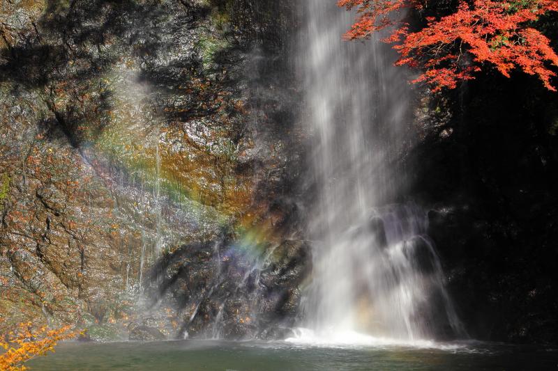 大滝虹_05-大滝.jpg