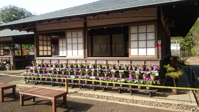 2015-04-18 15.39.49.jpg