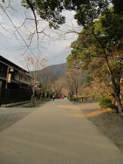 1119_8246.jpg
