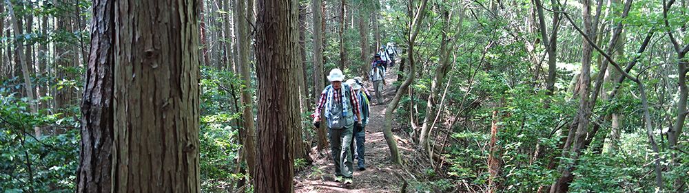 生城山（坂歩こう会） | 山屋のページ - 楽天ブログ
