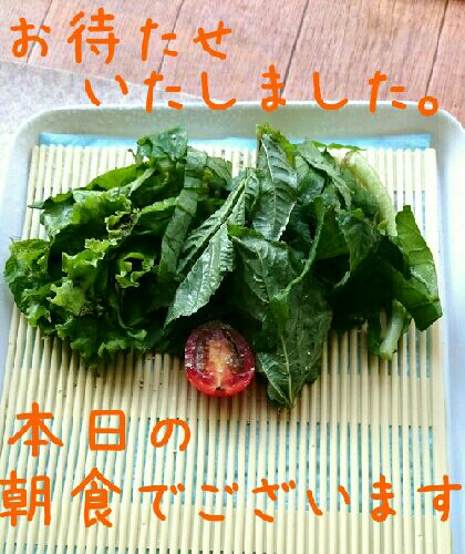rblog-20150929111725-02.jpg