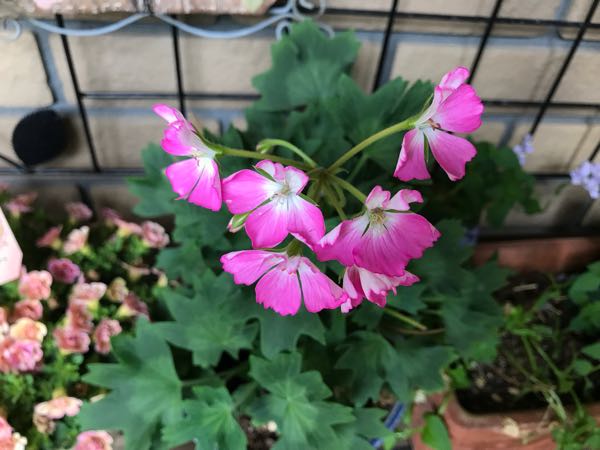 rblog-20180531150201-02.jpg