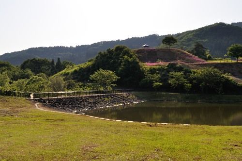 横手市 大松川ダム公園 芝桜以外をご紹介 旅とメシと鉄と酒と温泉と あと何だ 楽天ブログ