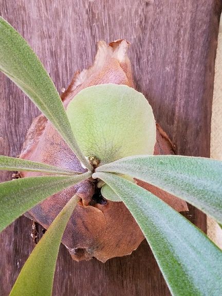 rblog-20180408121938-02.jpg