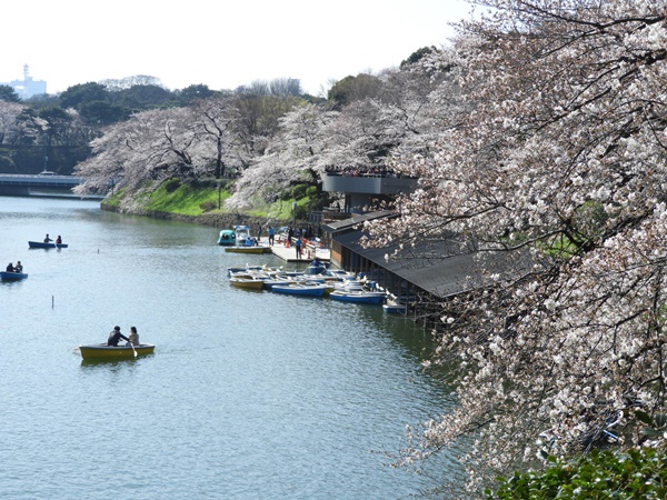 千鳥ヶ淵緑道