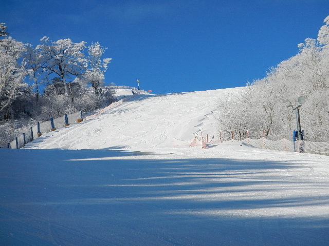 DSCN8193.JPG