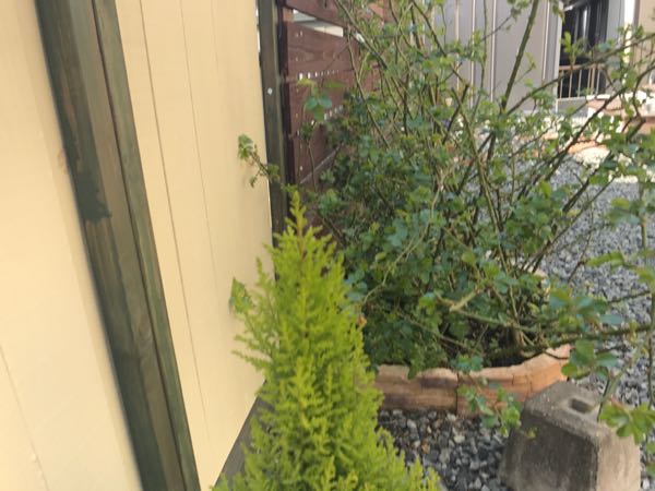rblog-20170329155628-01.jpg