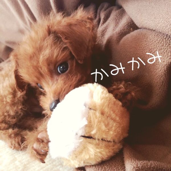 rblog-20150128131235-02.jpg