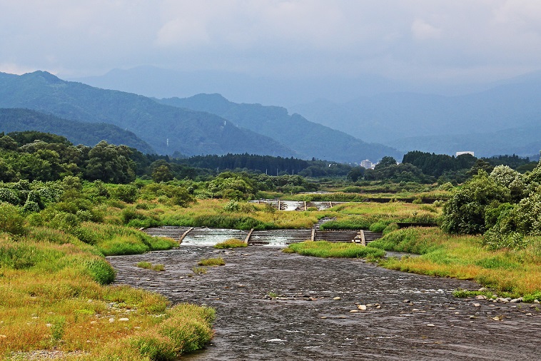 ５.水郷橋から上流を望む.JPG