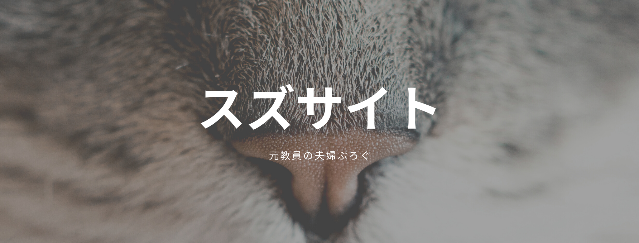 教師だけが知っている教育の知恵