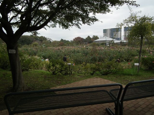 DSCF8514.JPG