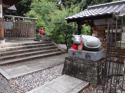 DSC09094.JPG