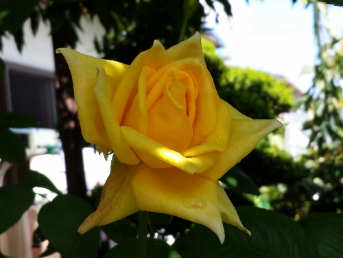 20150902_133034 (500x376).jpg
