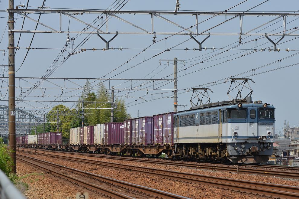 DSC_4267.JPG