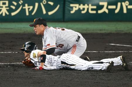 やまと.jpg