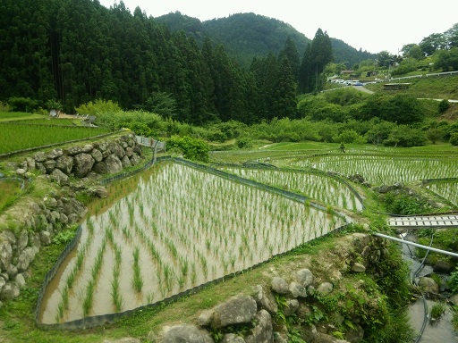 風が心地よい