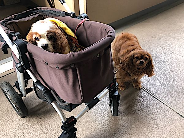 rblog-20180303231628-01.jpg