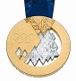 ソチ五輪金メダル