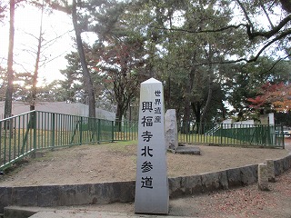 IMG_3905ss.jpg