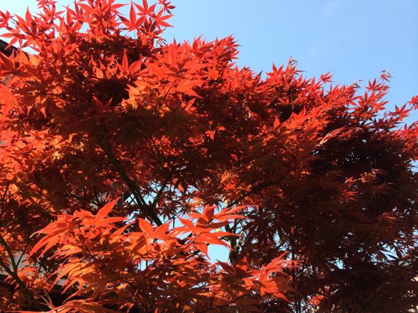 rblog-20140412100817-01.jpg