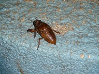 DSC01135.JPG